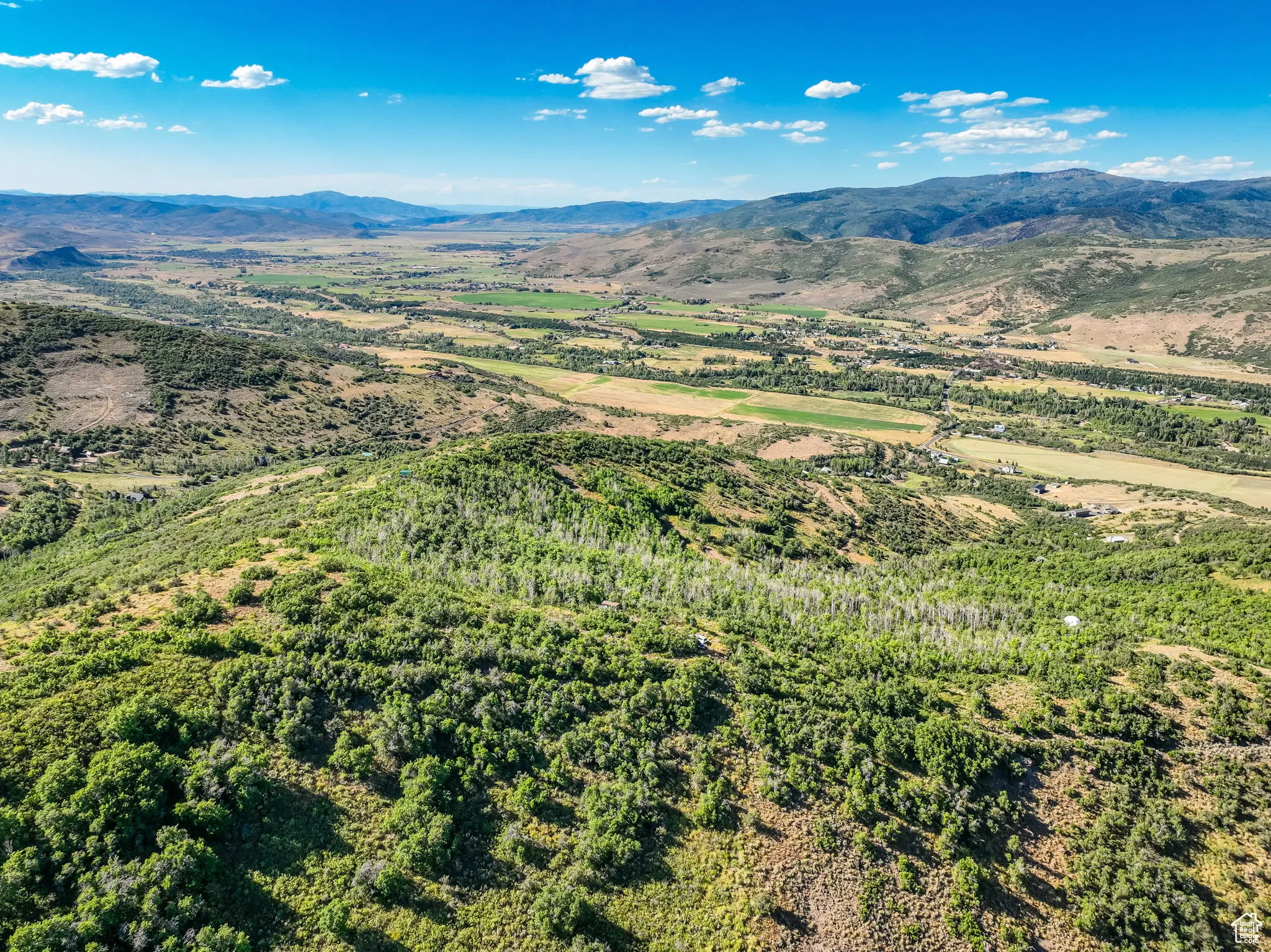 Aerial view of a mountainous background and a forest