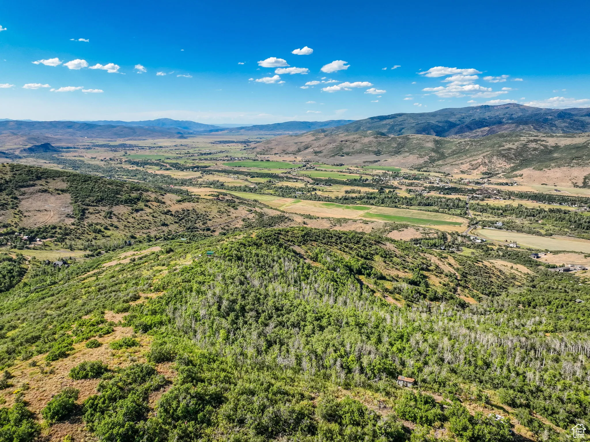 Bird's eye view of a mountain backdrop and a heavily wooded area