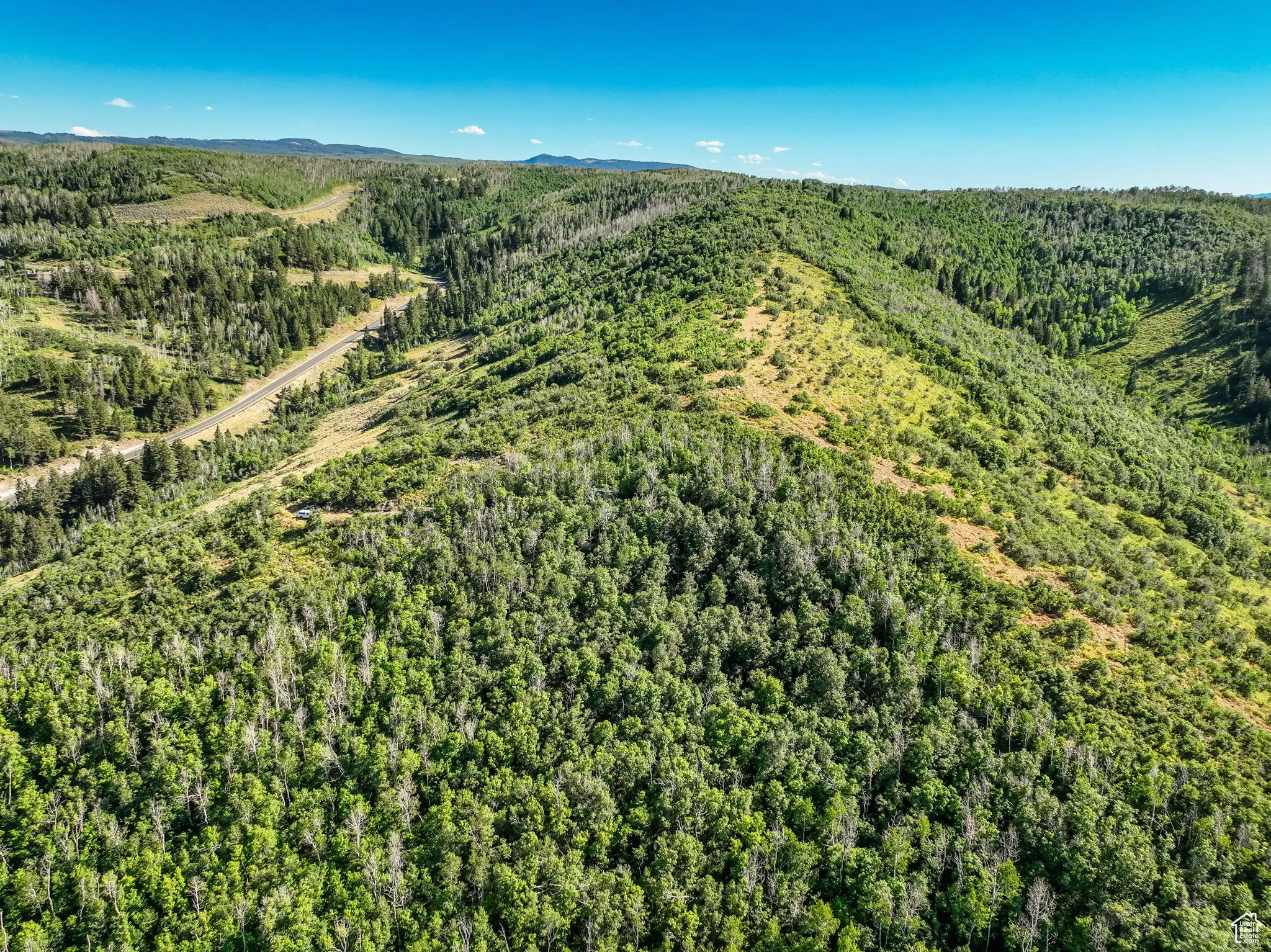 View of property location with a forest and a mountainous background