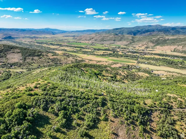 Aerial view of a mountainous background and a forest