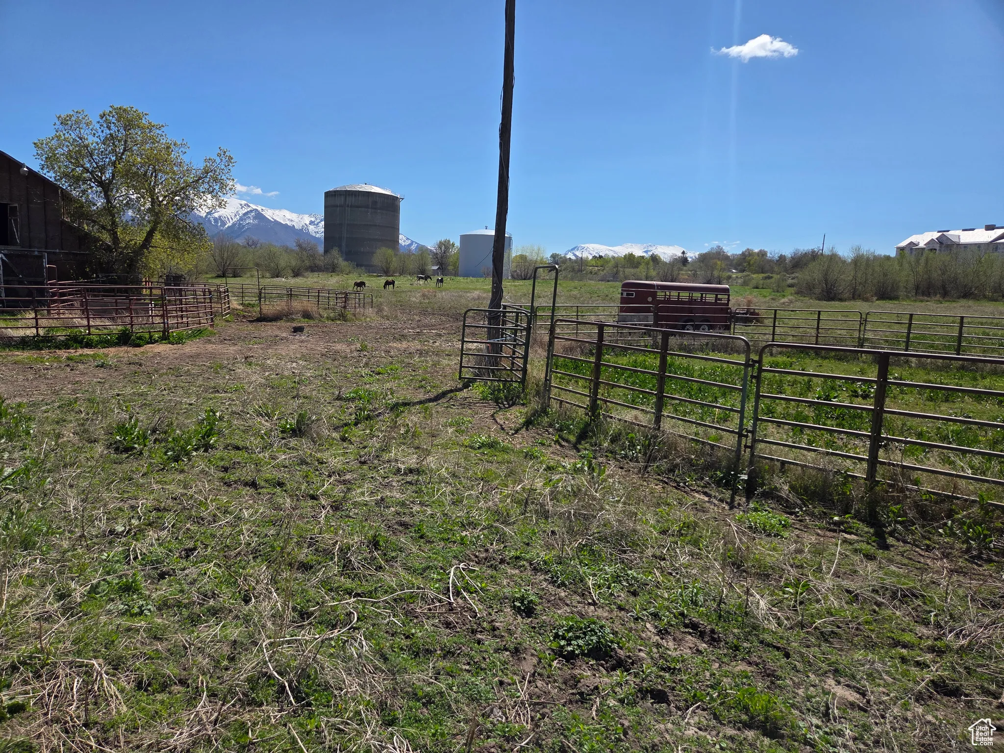 View of yard with a rural view and a mountain view