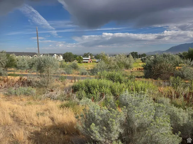 View of nature