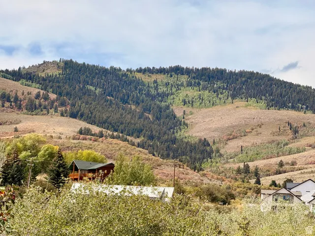 View of mountain background featuring a heavily wooded area