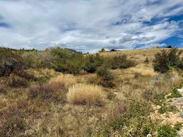 View of undeveloped land featuring rural landscape