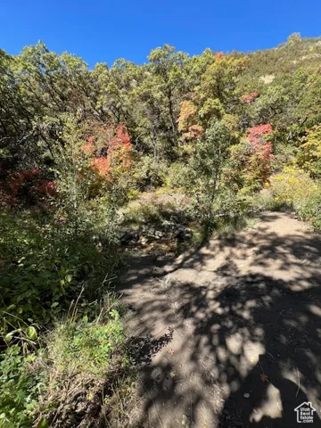 This trail is called Bonniville shore-line trail. Burch Creek runs on North side of this trail.