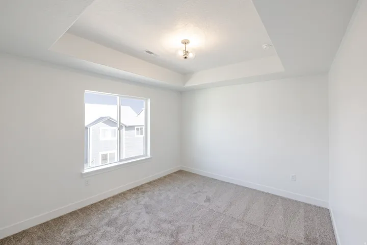 Spare room with a raised ceiling and carpet flooring