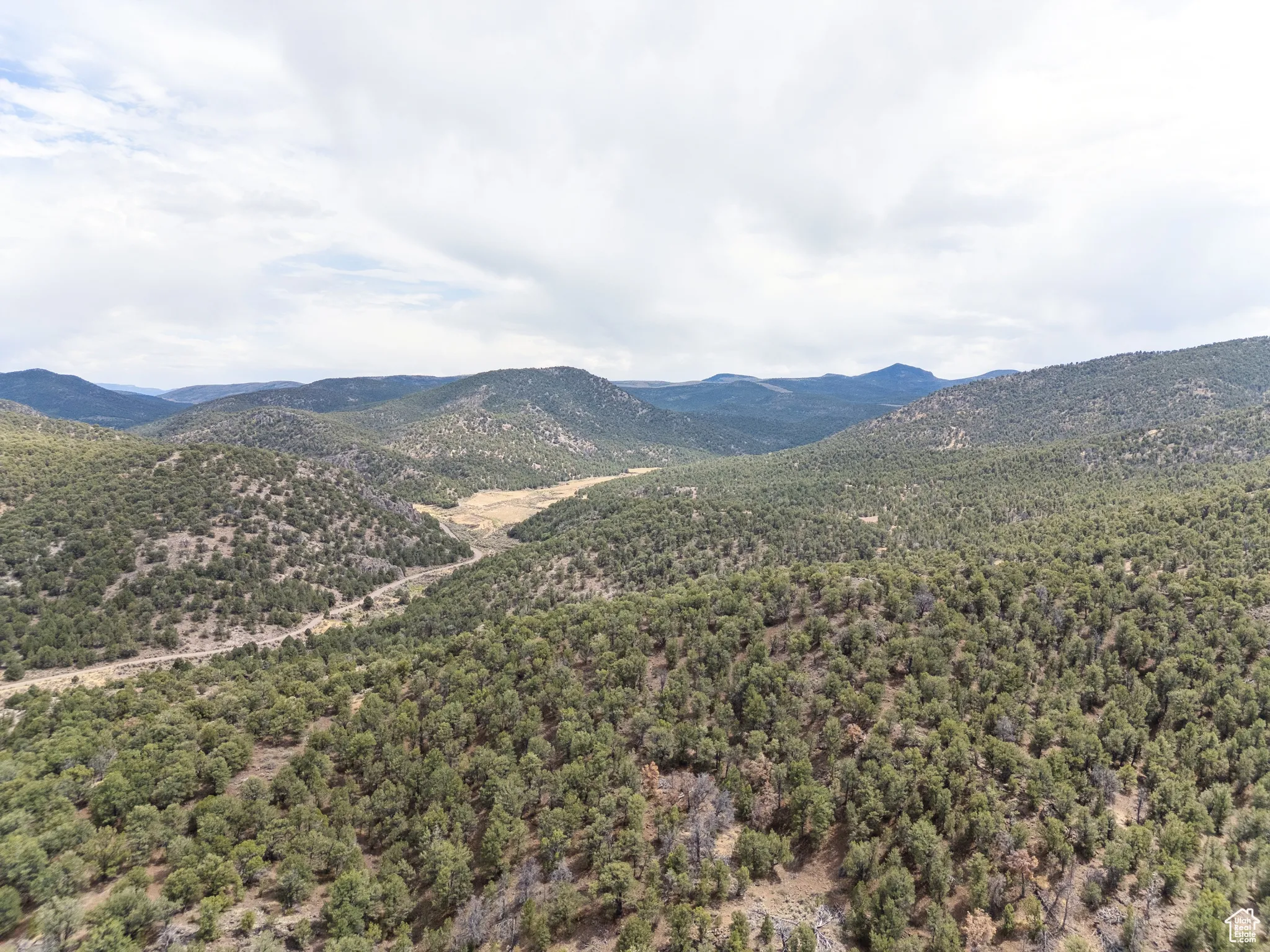 View of mountain backdrop featuring a heavily wooded area