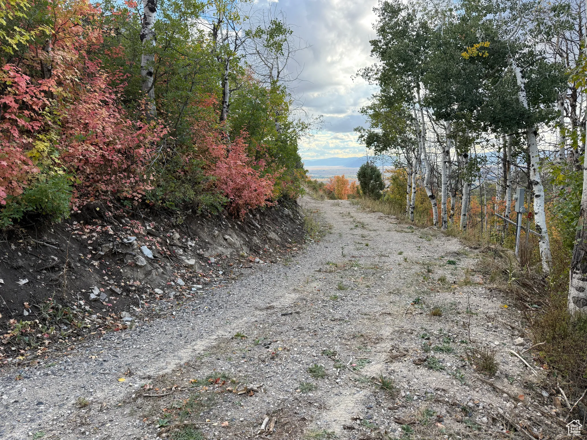 Easy access driveway on lot 1