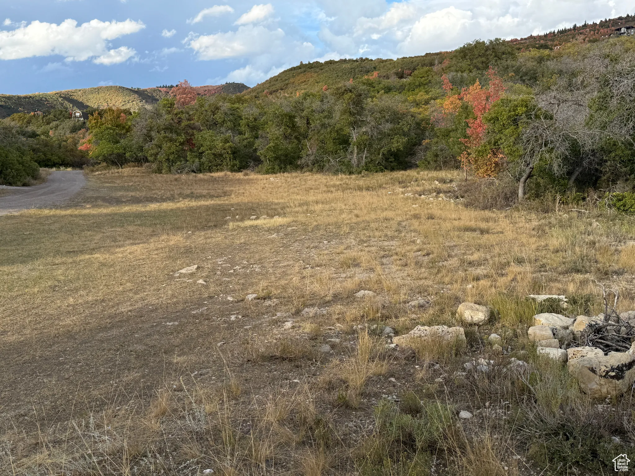 West ridge of lot 1, large flat open area