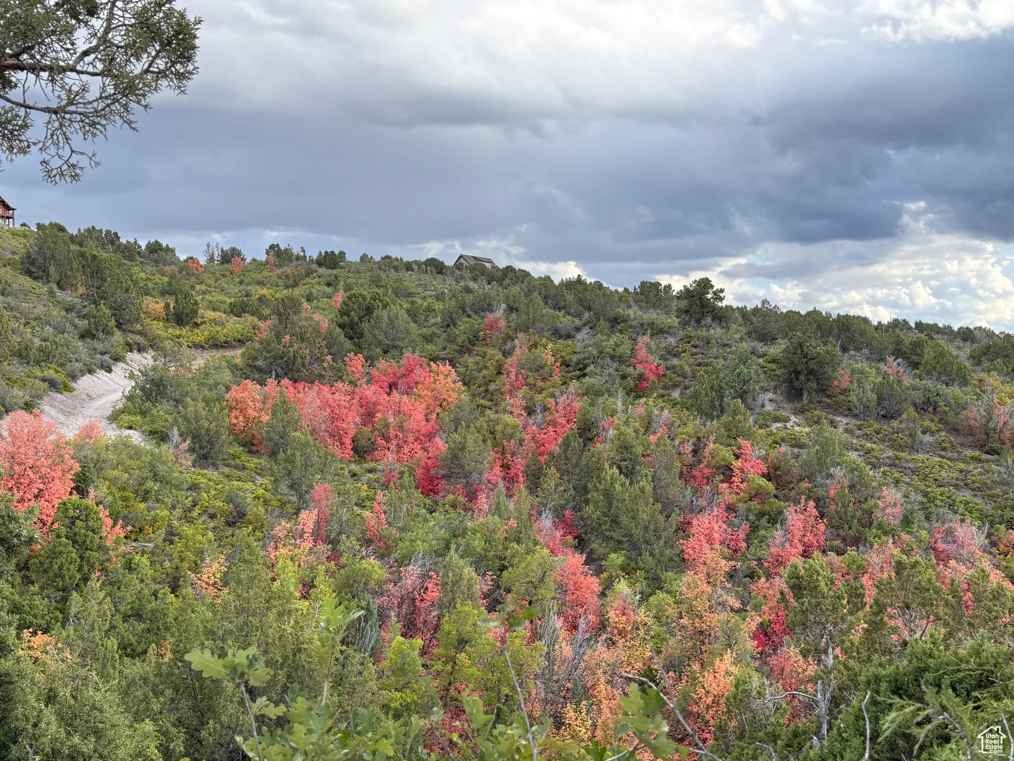 Beautiful fall colors of the properties