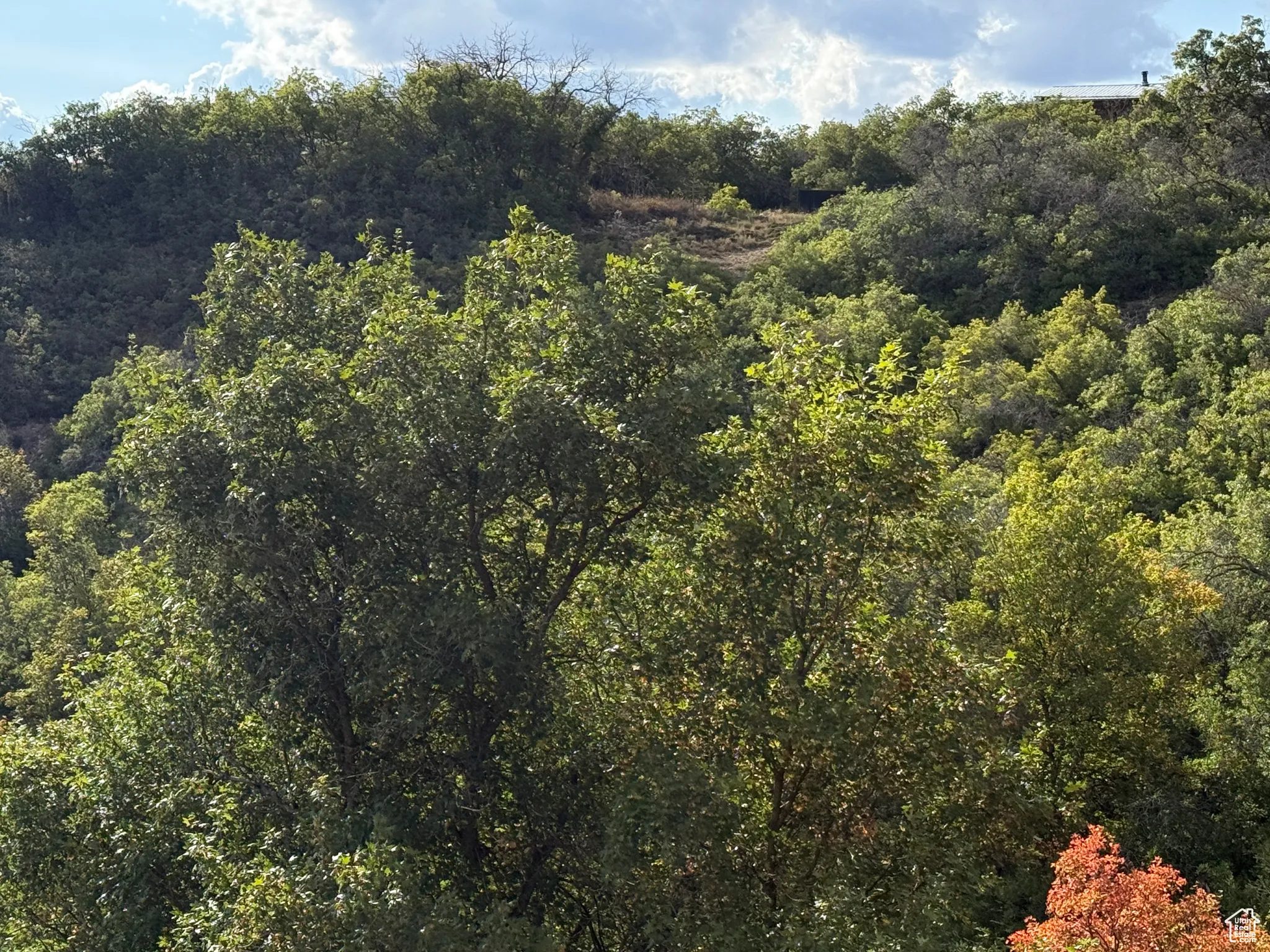 View from the pad on lot 1, looking west over the valley and up to the ridge on the west side of lots 1 & 2