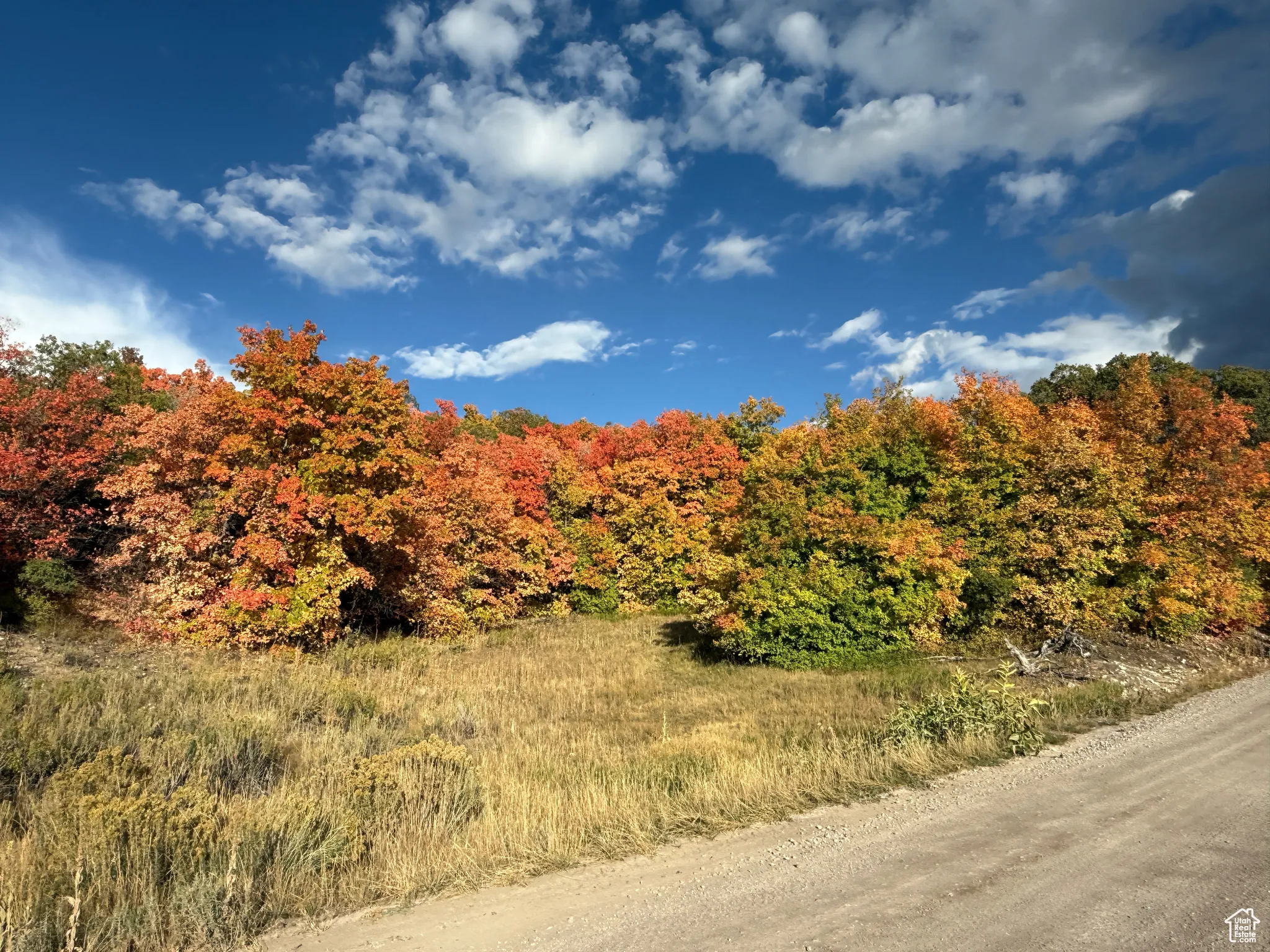 Beautiful fall colors in the association, driving to the properties