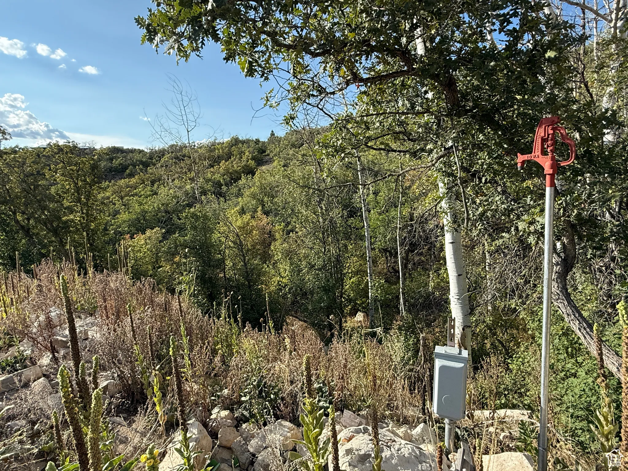 50amp #2 on lot 1