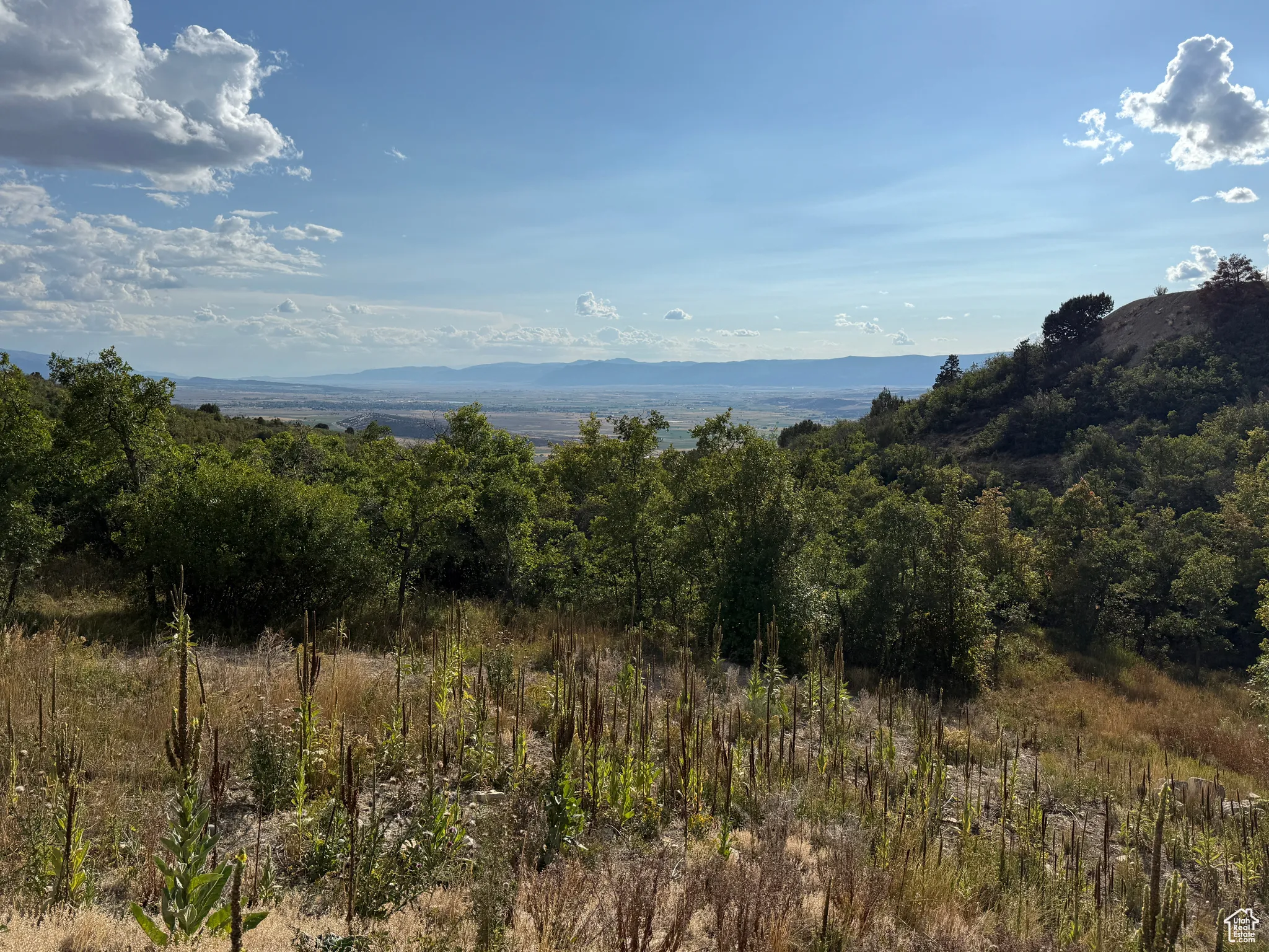 Lot 1 view of the open land on lot 2 and the valley from the pad, facing southwest
