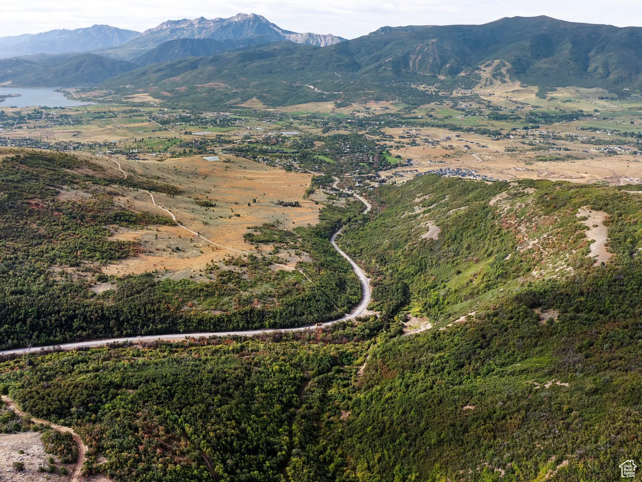 Mountain view featuring a forest