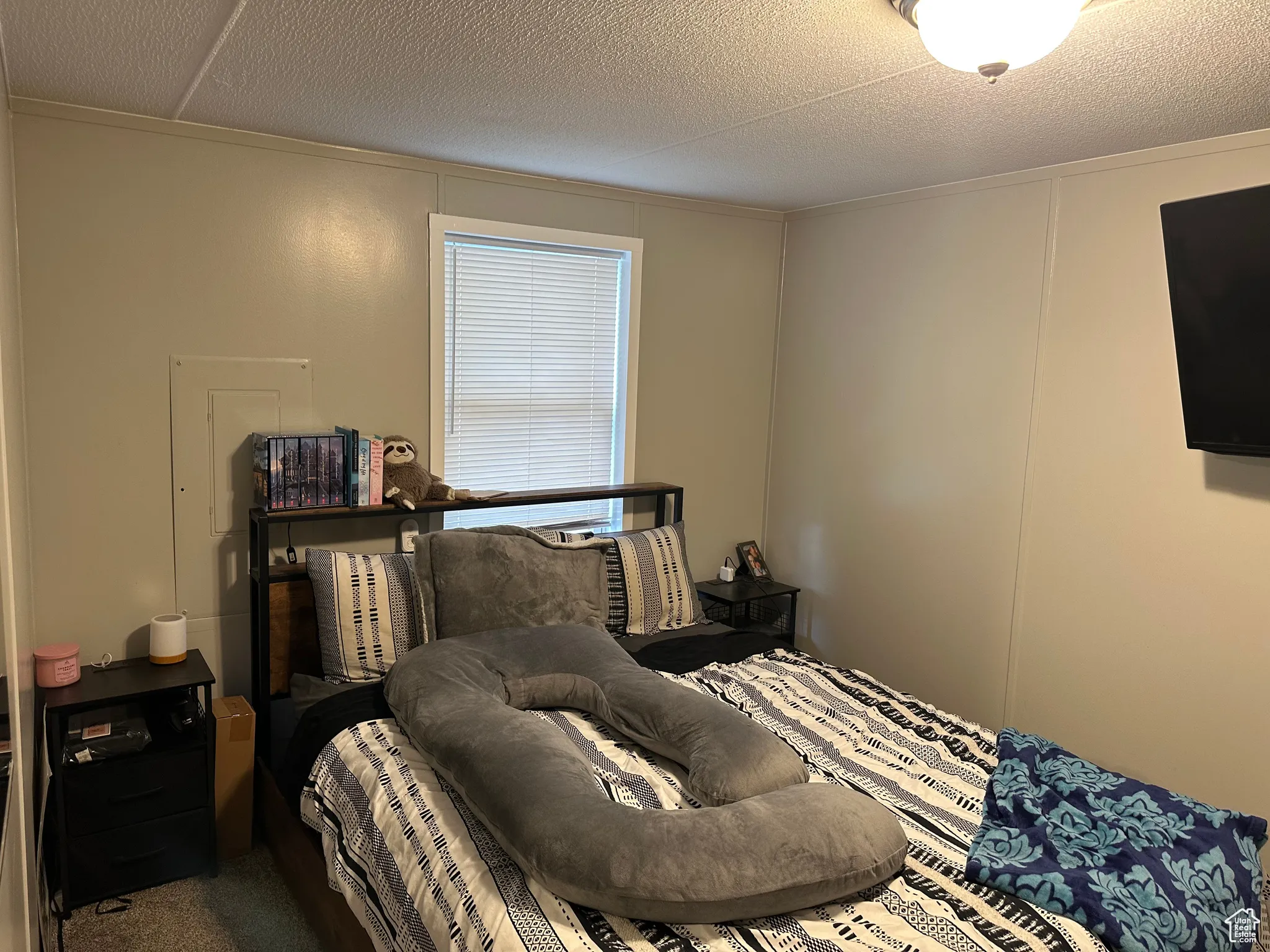 Carpeted bedroom featuring a textured ceiling