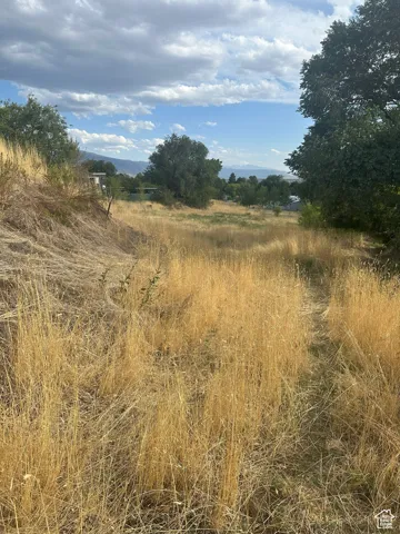 View of local wilderness featuring rural landscape