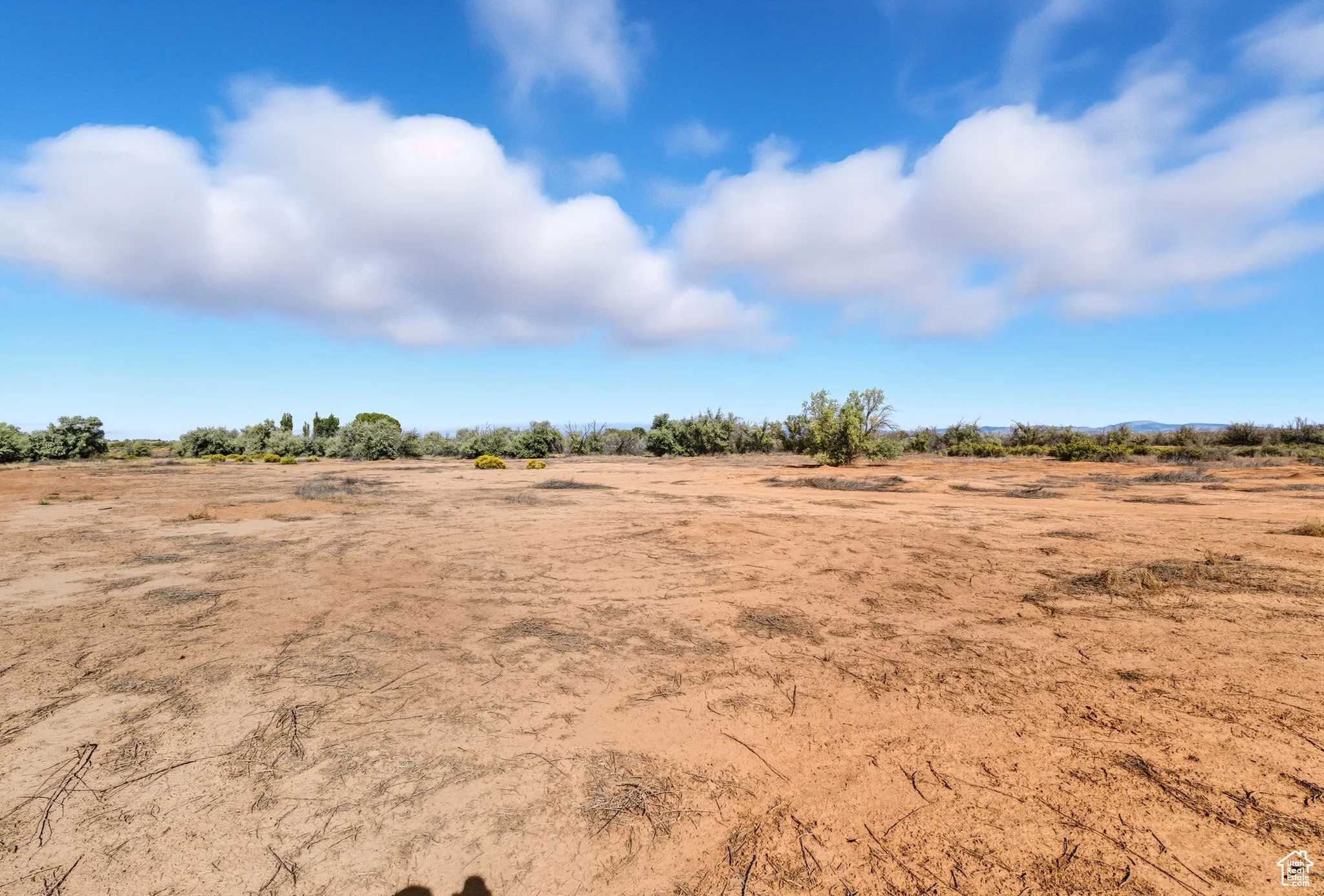 View of yard featuring a view of rural / pastoral area