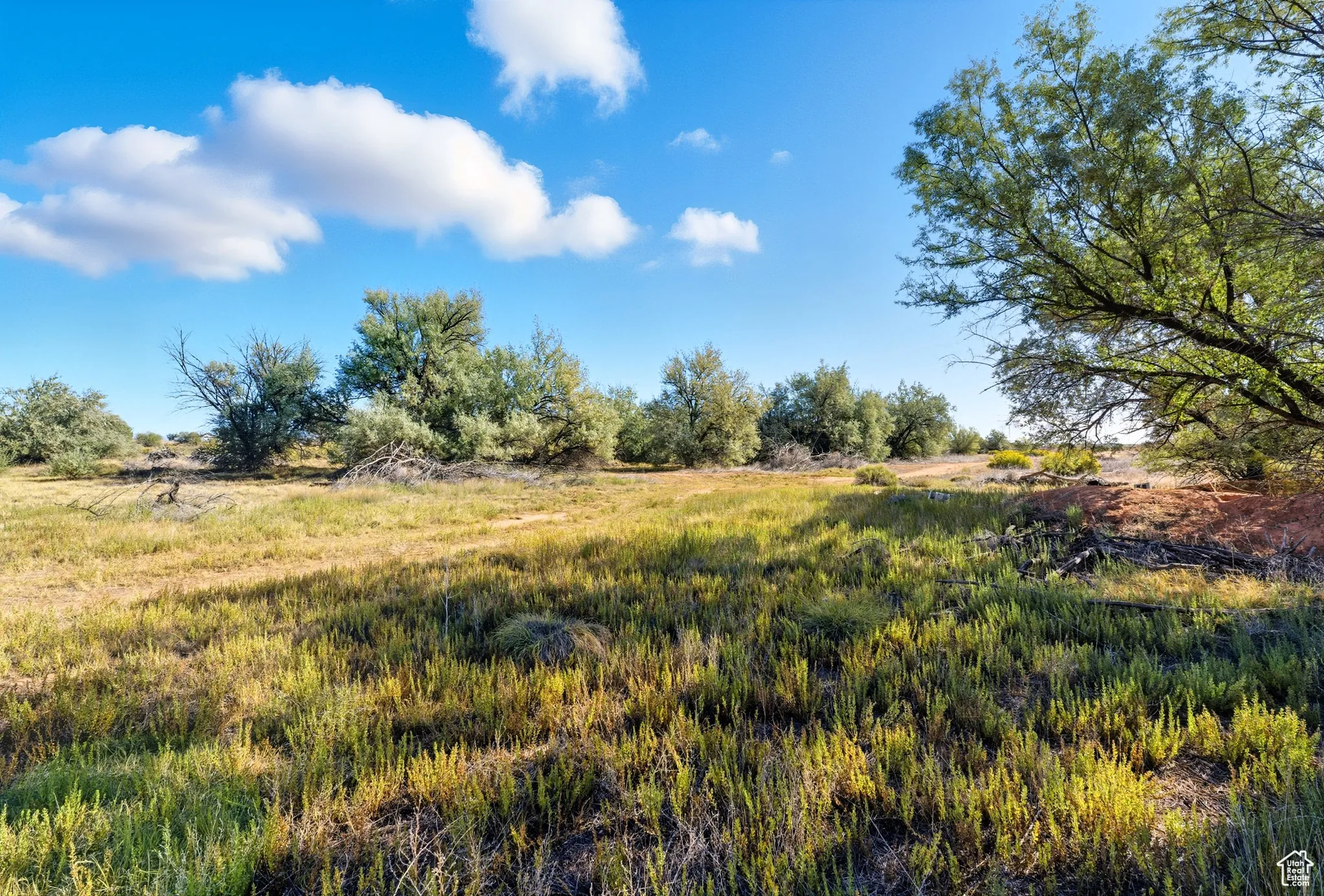 View of yard featuring a view of rural / pastoral area