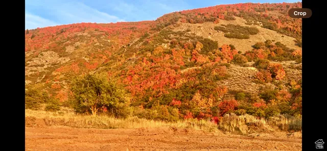 Mountain view with a heavily wooded area