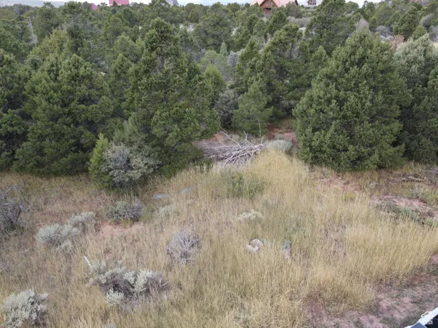 View of undeveloped land