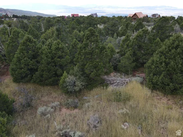View of local wilderness
