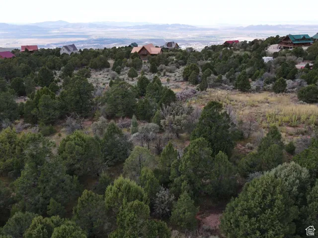 Bird's eye view of a mountain backdrop