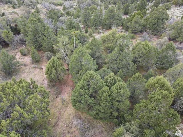 Aerial view of property and surrounding area