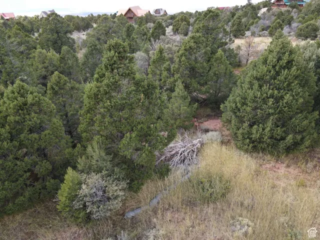 View of local wilderness