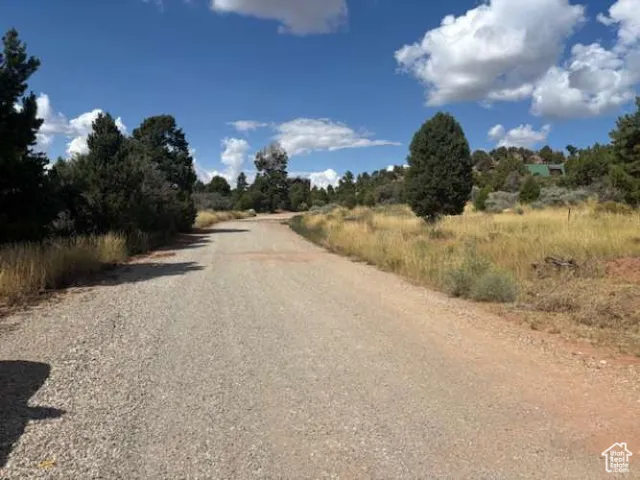 View of road