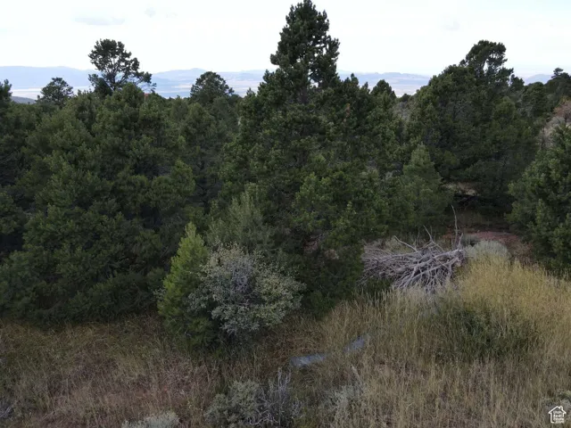 View of nature