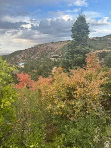 View of mountain backdrop with a heavily wooded area