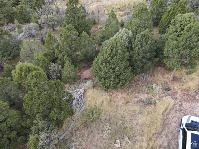 Aerial view of property's location