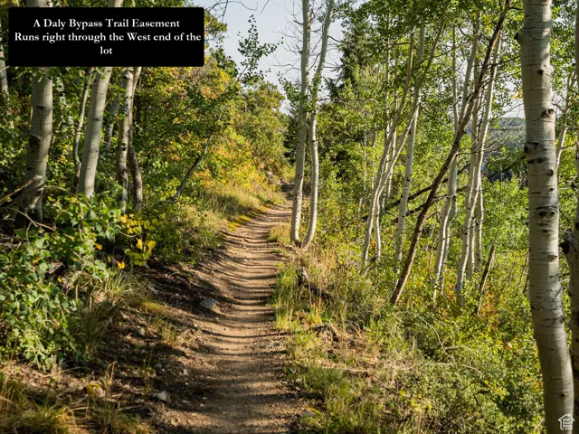 View of road featuring a view of trees