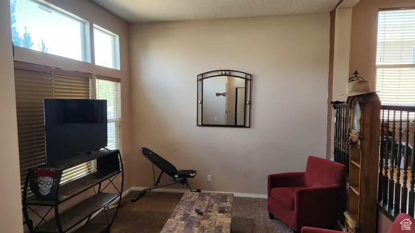 Sitting room with carpet flooring, plenty of natural light, and a textured ceiling