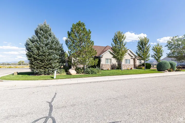 Obstructed view of property with stone siding and a front lawn