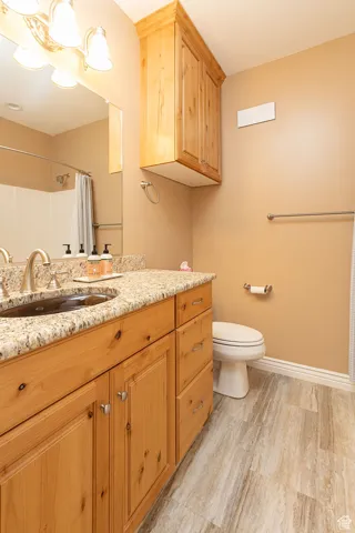 Bathroom featuring vanity, a shower with curtain, and light wood-type flooring