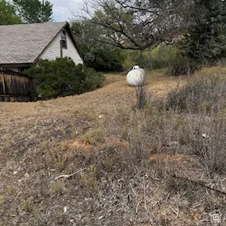 View of yard and propane tank from root cellar