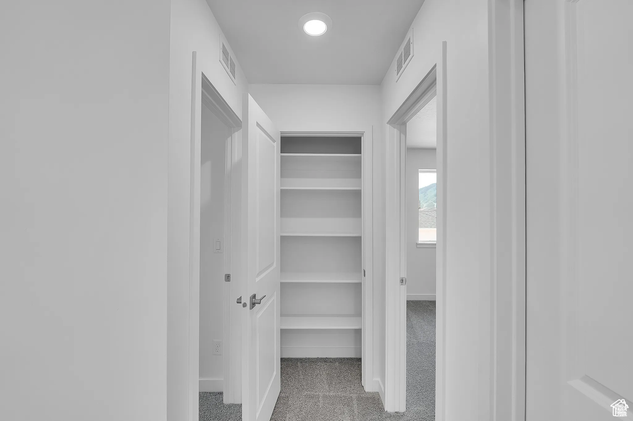 Spacious closet featuring light carpet
