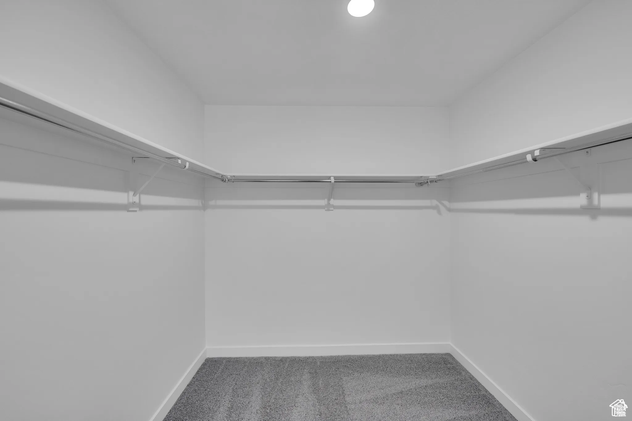 Walk in closet with light colored carpet