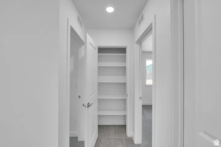 Spacious closet featuring light carpet
