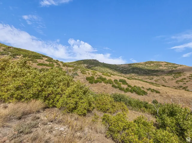8 Kent Canyon Rd Rd, Wanship, Utah 84017