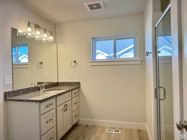 Primary bath featuring vanity, light wood-type flooring, and a shower stall