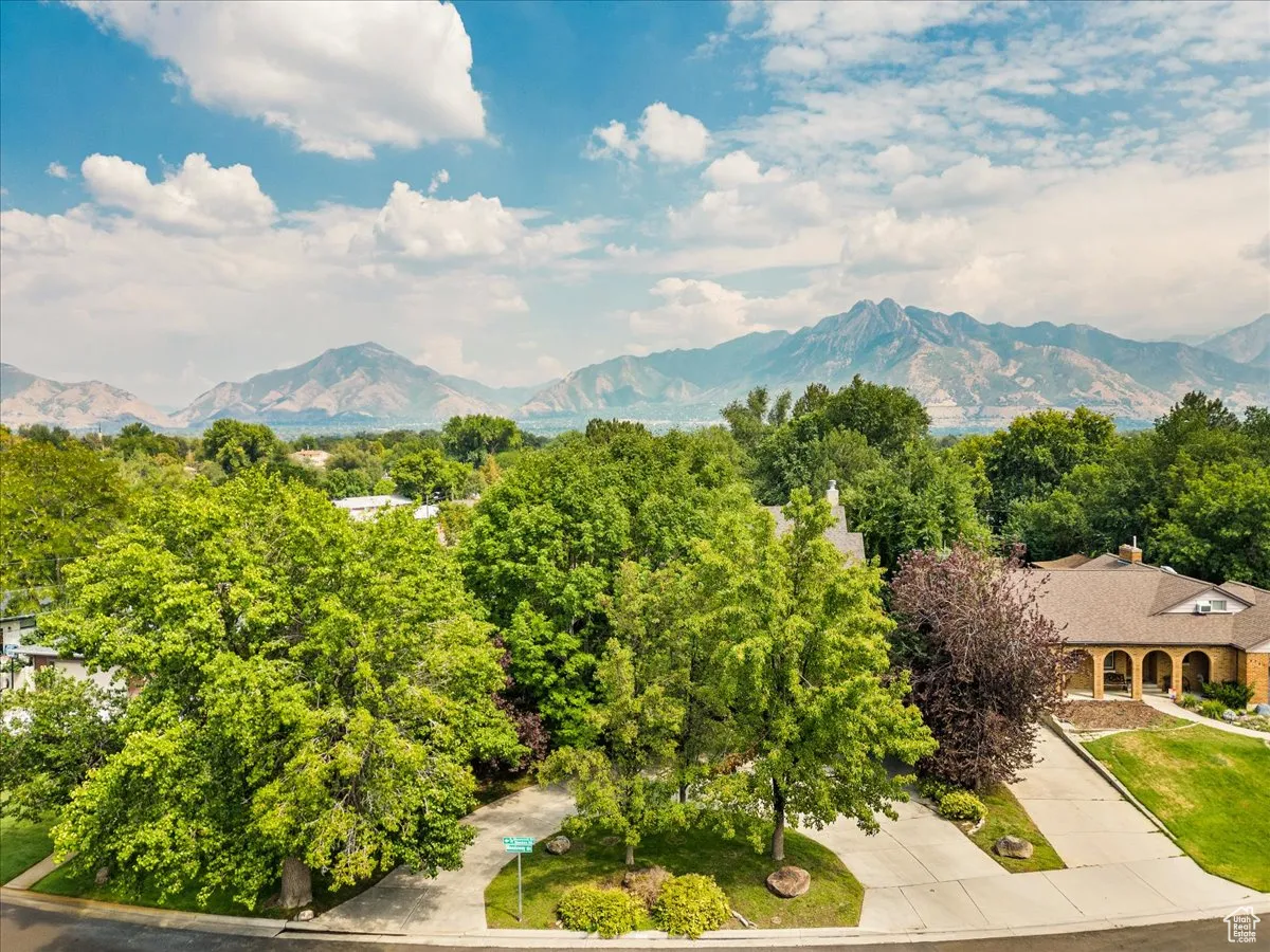 View of mountain background
