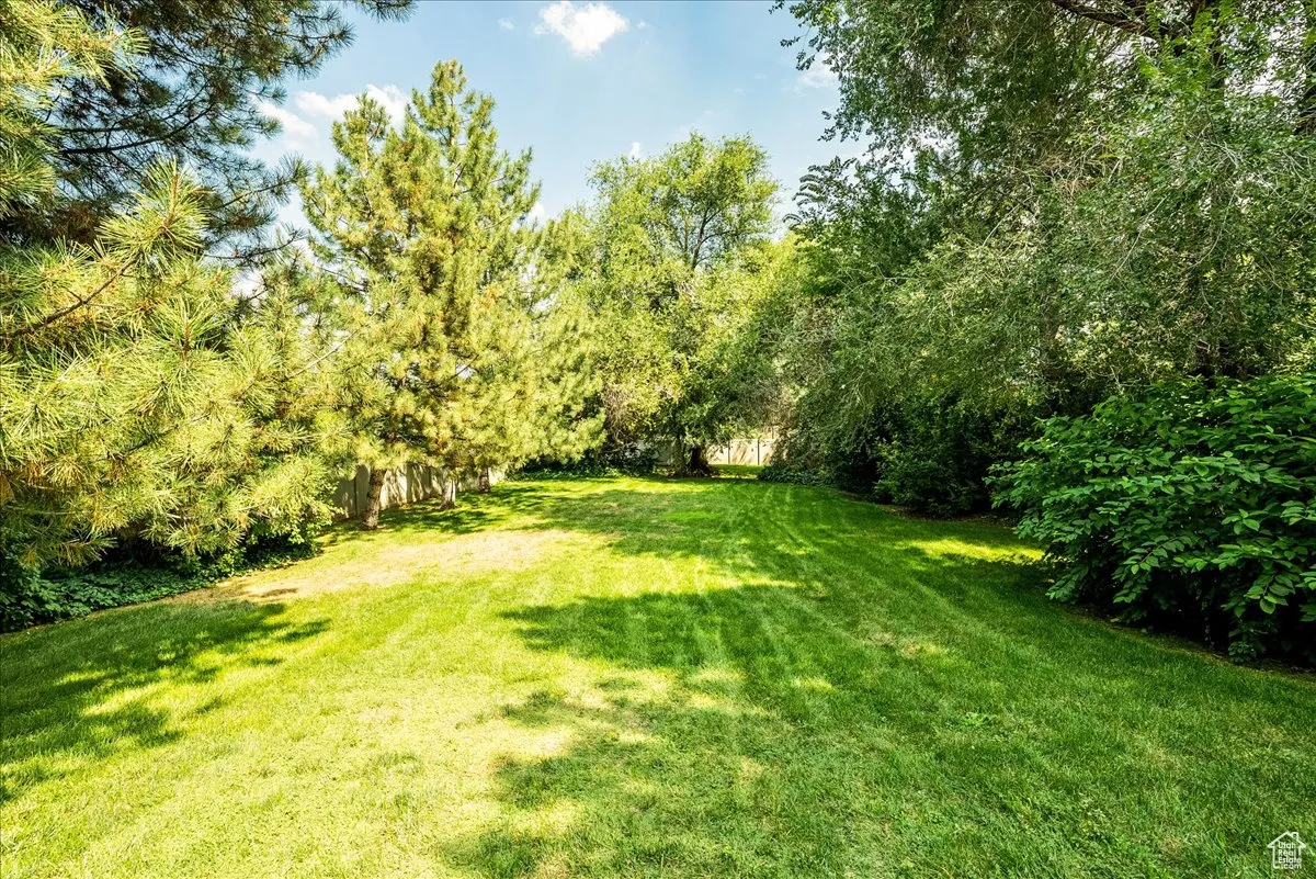 View of green lawn with view of scattered trees