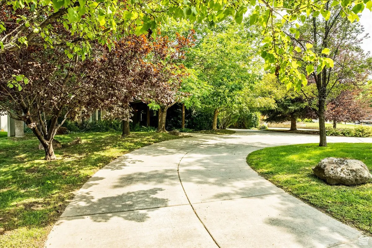 View of property's community with a yard
