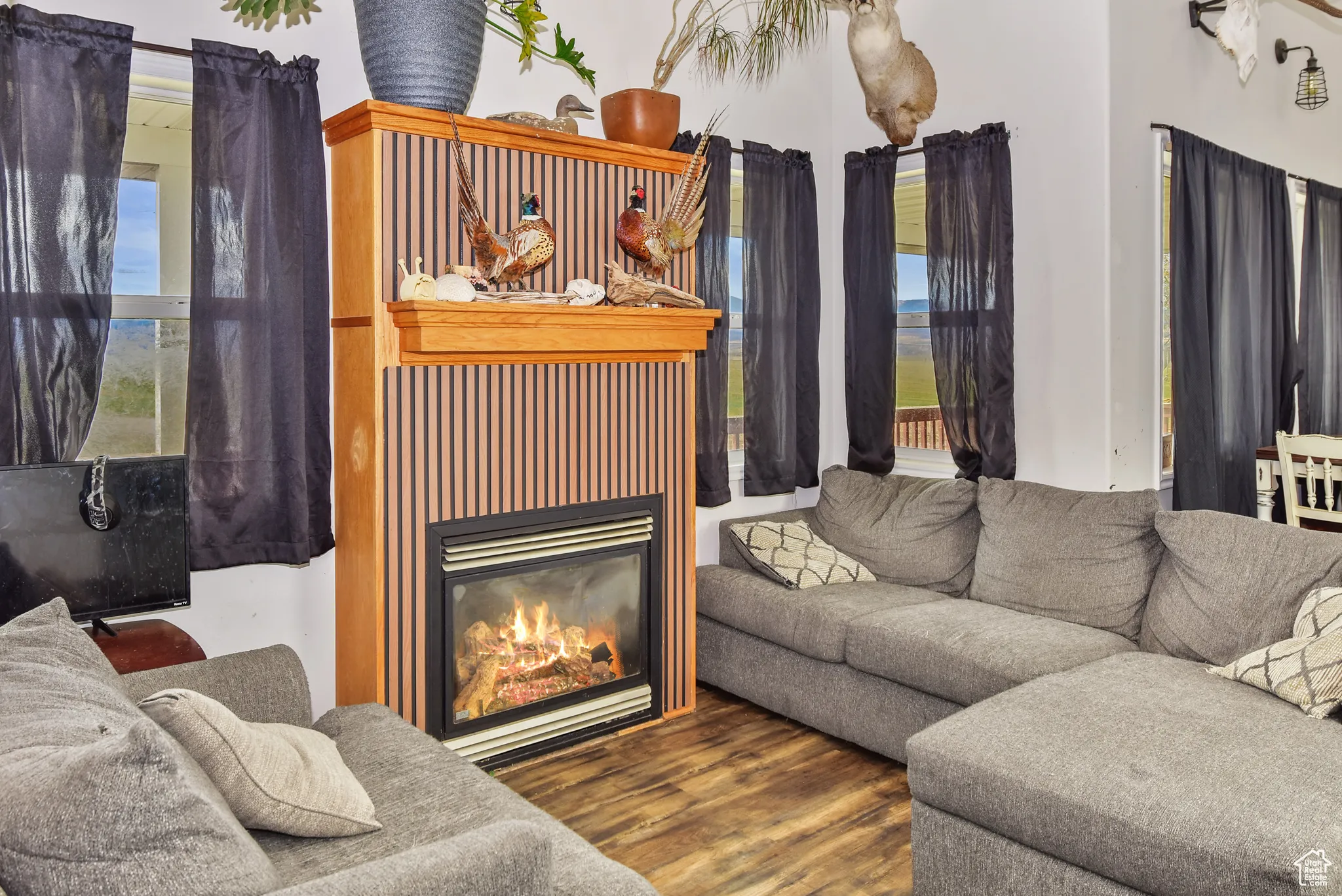 Living room featuring wood finished floors and a glass covered fireplace