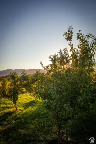 View of nature with a mountainous background