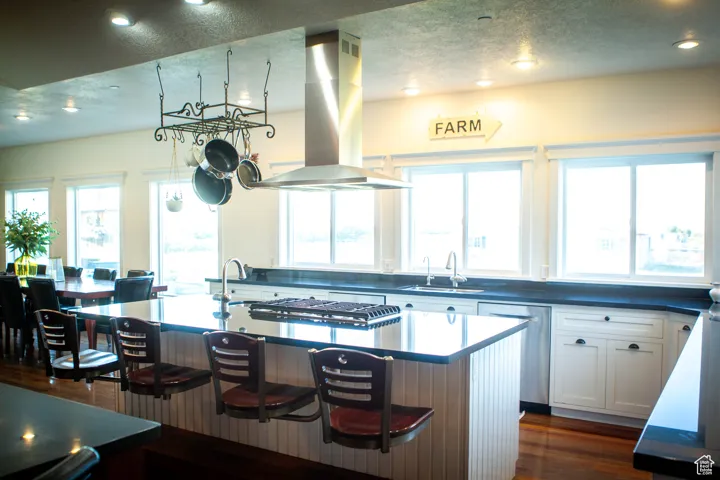 Kitchen with a center island with sink, island exhaust hood, white cabinets, stainless steel appliances, and a kitchen breakfast bar