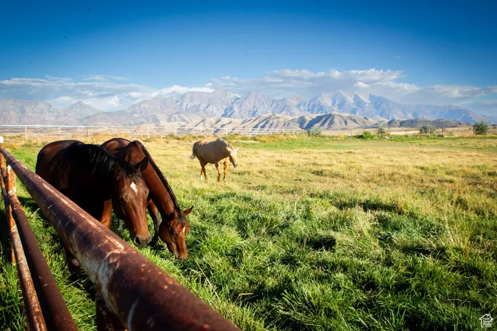 View of mountain background with a pastoral area and rural landscape
